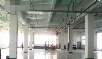 獨院廠(chang)房(fang)6800平(ping)方(fang),適(shi)合做化妝品,食(shi)品廠(chang) 廣州(zhou)廠(chang)房(fang) 倉(cang)庫 土(tu)地(di)